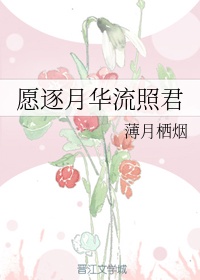 越狱第三季在线观看
