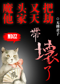 洗浴屋先生无删减