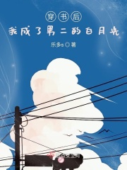 大杂烩家族小说目录