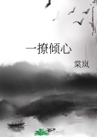 亦舒小说在线