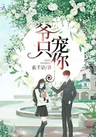侠客行之孽子石中玉
