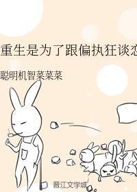 少年阿小宾全文txt下载