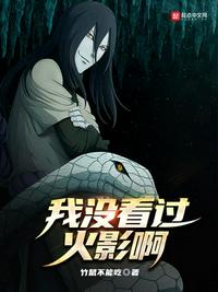 英特尔EVO