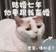 东南大学邮件