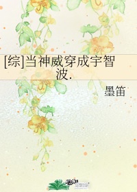 御手洗家的故事动漫