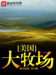 3344svcom面访问升级