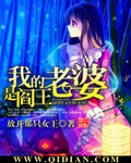 影之诗