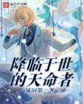 天堂鸟论坛