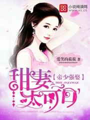 夏洛特烦恼百度云