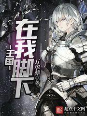 领袖电视剧完整版免费观看