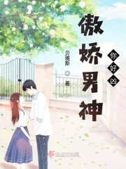 金瓶双艳下载
