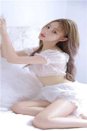 套路直播网页版登录入口下载