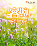 闯入者