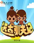 叶落长安免费观看全集