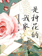 艳妻系列全文免费阅读