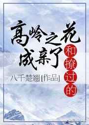 首席御医第二部山寨版