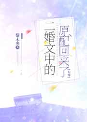 霹雳谜城