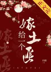 对不起我爱你小说