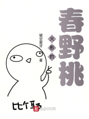 hbl小说
