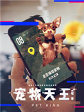 新奥特曼枪版