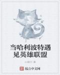 江湖侠女泪梅开四度