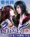 无头东宫电视剧