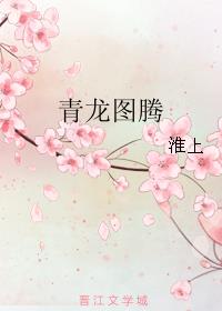 国产精品αv在线观看