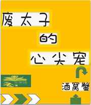 一屋两妻