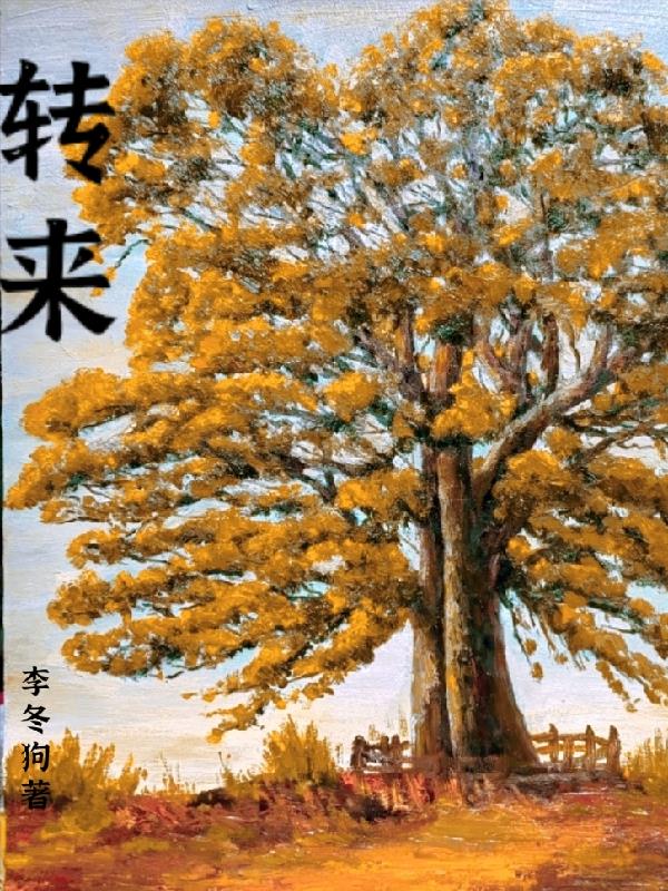 少年包青天第一部