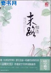 陈律徐岁宁小说