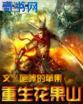 雷电将军乳液狂飙vx免费进入
