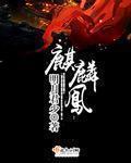 豆豆言情小说