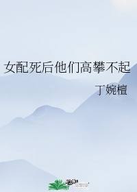 温暖叶非墨车内做的章节