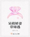 火蓝刀锋电视剧免费观看完整版