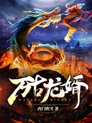 淘气天尊导师直播间