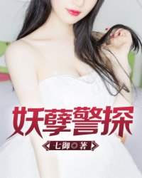 疯狂的蠢贼