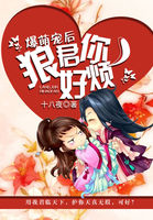 绝命律师第二季