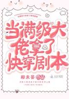 炮灰女配的np人生