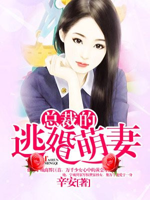 樱花岛网站app网址进入