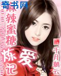 老司机带带我免费观看视频
