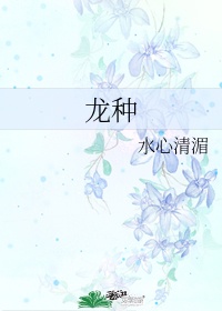 伪装学渣开车第几章