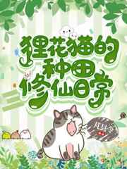 乡村寡嫂