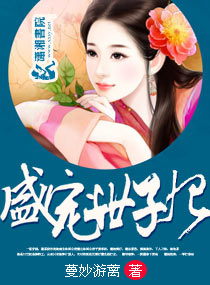 少年玩遍全城美妇小说