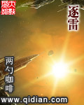 暗黑童话故事系列多肉