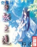 宝宝巴士美食总动员第二季