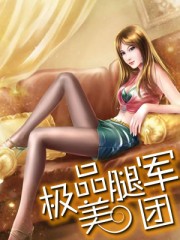 新红楼梦免费观看