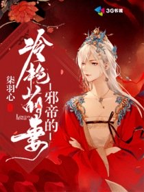 腹黑相公枕上宠完本