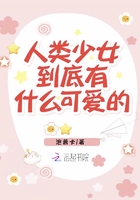 韩国理论午夜