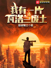 关之琳小说