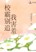 耽美之家金币